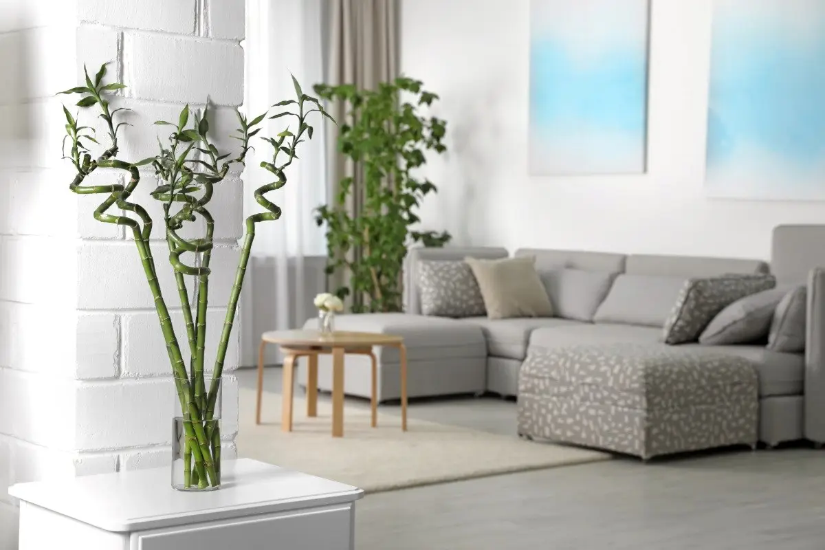A harmonious living room arranged with feng shui interior design, featuring a cozy gray sofa and a balanced arrangement of art to create a welcoming atmosphere.