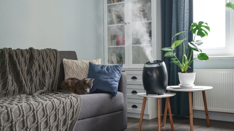 A black air humidifier releasing a stream of cool mist into a living room, with a cat sleeping comfortably on the couch in the background.
