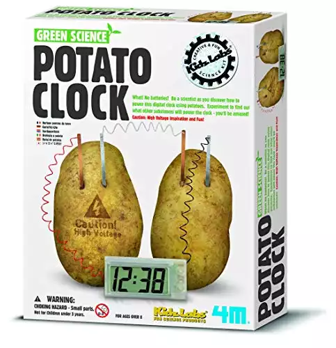 Potato Clock DIY Green Science Chemistry Engineering Lab