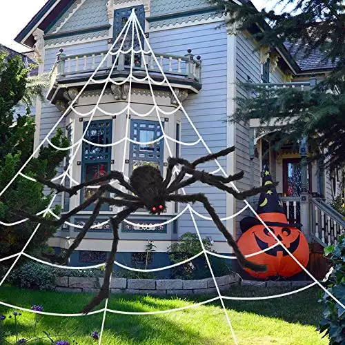 Halloween Spider Web And Giant Spider