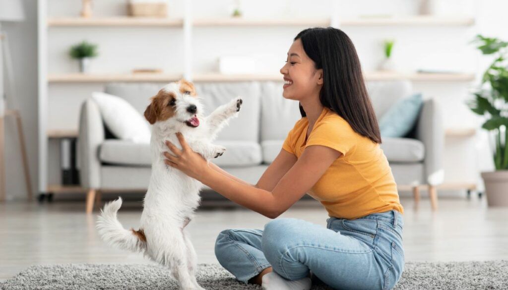 first-time dog owners gifts