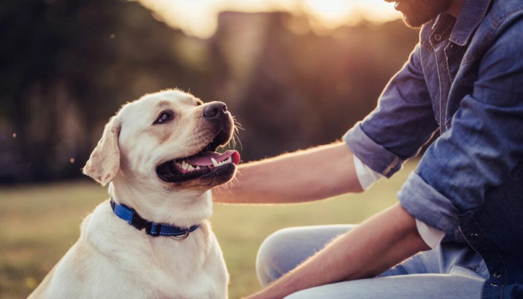 gifts for dog dads