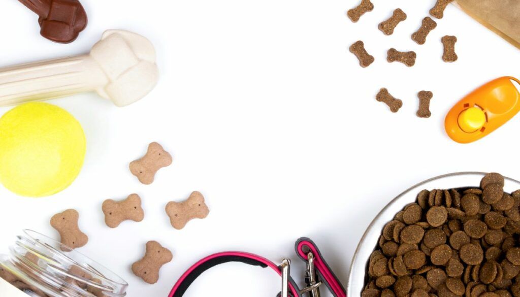 pracitcal dog owners gifts