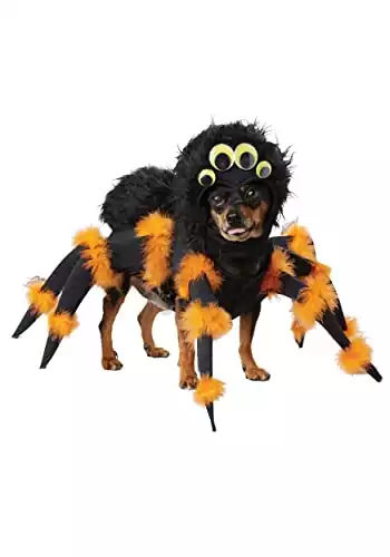 Spider Dog Costume