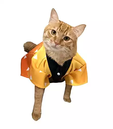 Agatsuma Zenitsu Cat Costume