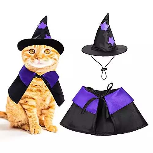 Funny Cat Wizard Costume