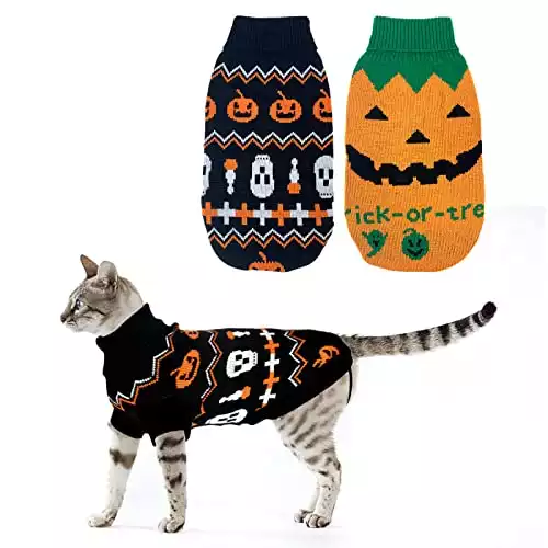 Halloween Cat Sweater