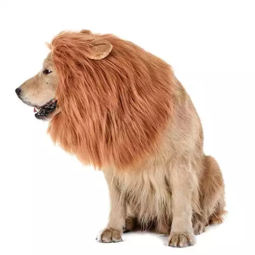 Funny Lion Mane For Dogs