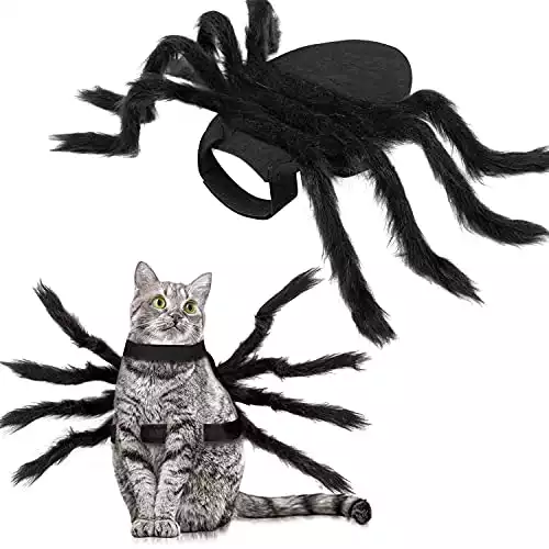 Spider Cat Costume