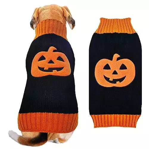 Pumpkin Dog Sweater