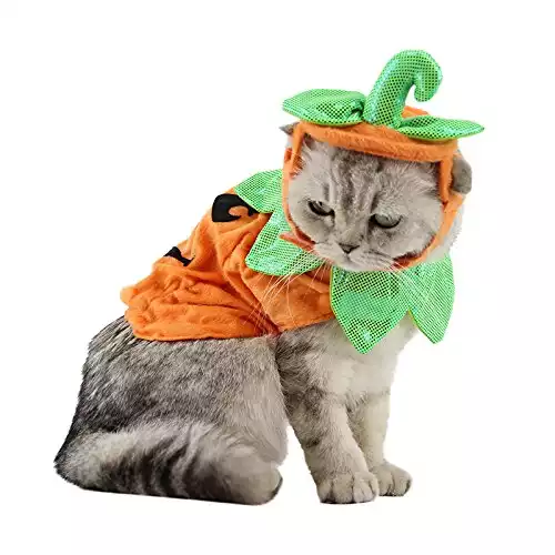 Pumpkin Cat Costume