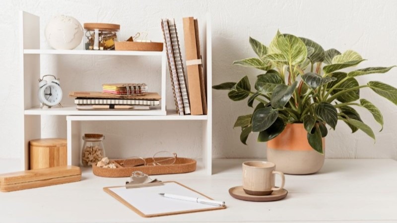 A clean and organized home office desk with a white shelf, notebooks, a potted plant, and a coffee cup, creating a calm workspace.