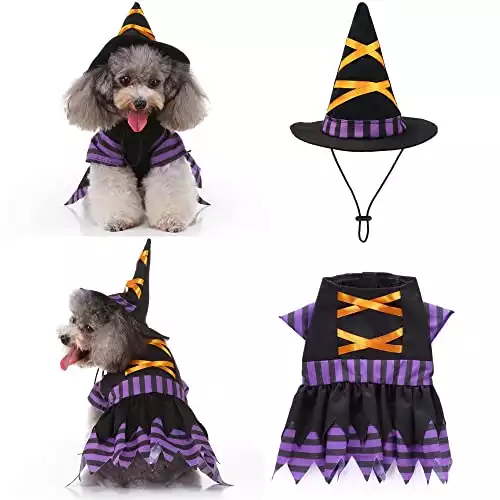 Small Dog Witch Costume