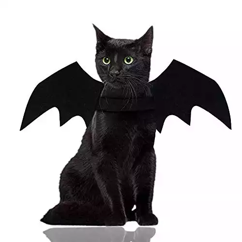 Bat Wings Costume