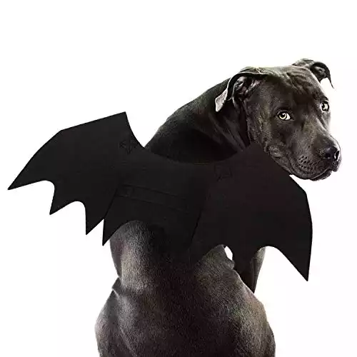 Bat Wings Costume