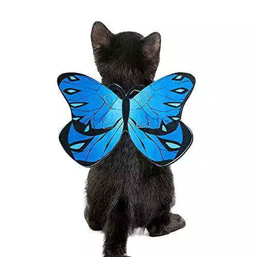 Butterfly Wings Costume