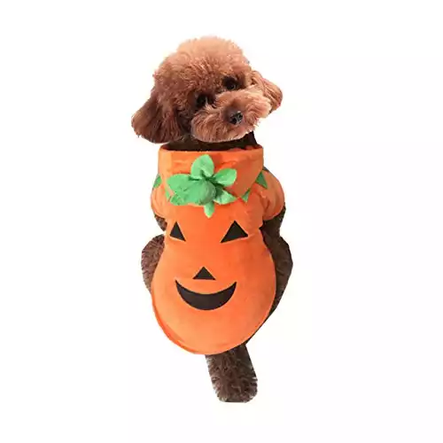 Halloween Pumpkin Costume