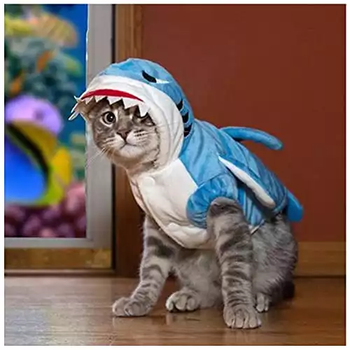 Shark Cat Costume