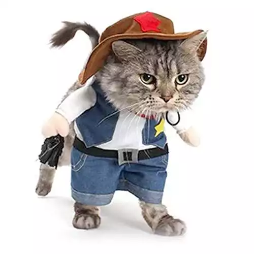 Cowboy Cat Costume