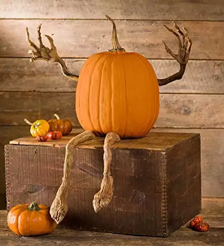 Bendable Pumpkin Arms And Legs