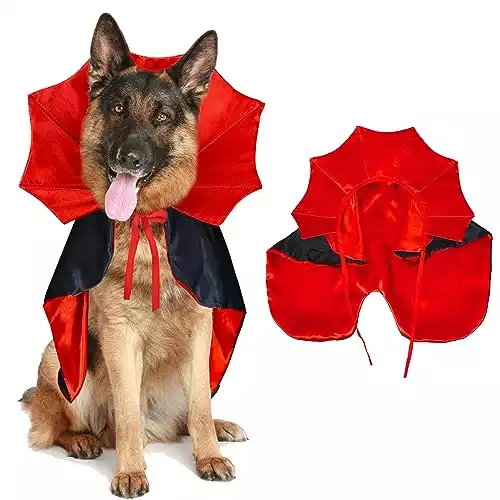 Vampire Cloak Costume