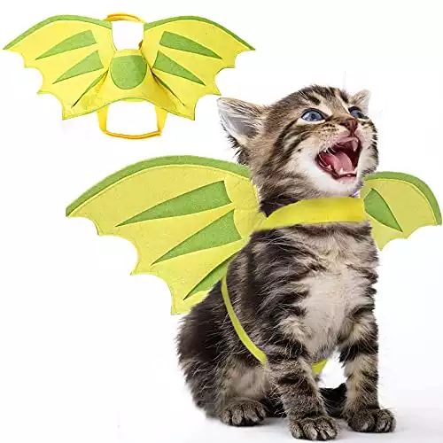 Dragon Wings Costume