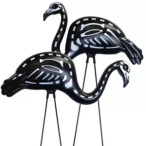 Black Flamingo Skeleton