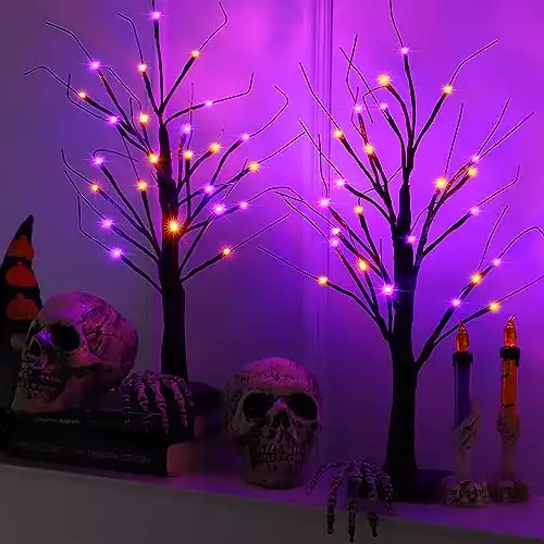 Halloween Trees with Orange and Purple Light