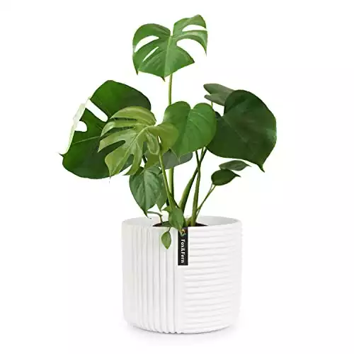 White Pot for Indoor Plants - 3D Line Texture