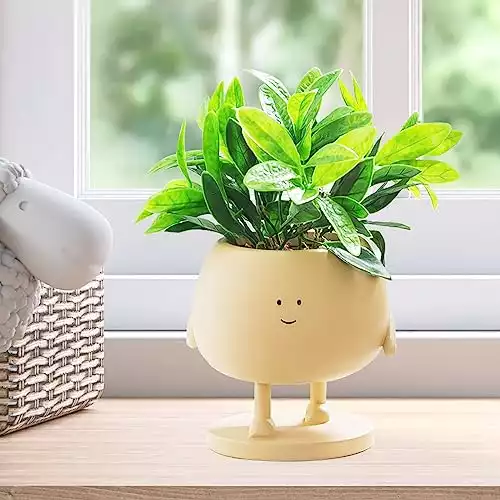 Cute Small Pots for Mini Plant