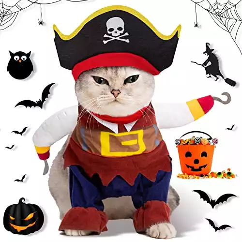 Caribbean Style Pirate Cat Costume