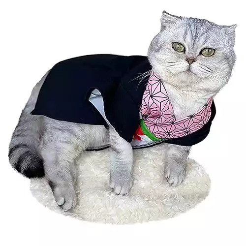 Anime Nezuko Cat Costume