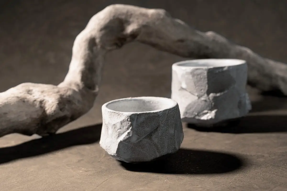 A perfect example of Wabi-sabi decor: a rustic, imperfectly shaped two ceramic bowls with a single dried branch behind them, neutral-colored wall.